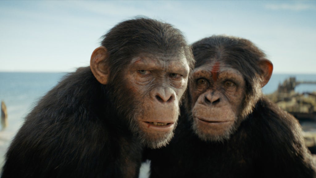 kingdom-of-the-planet-of-the-apes