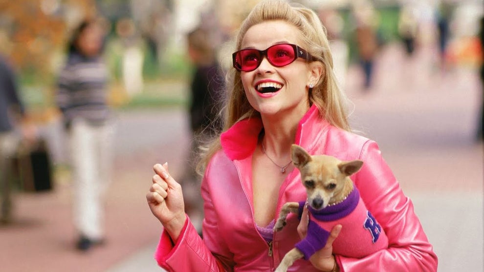 A woman with blonde hair is laughing and holding a small dog wearing a purple and pink outfit. She is dressed in a bright pink jacket, red sunglasses, and has a pink phone attached to her ear. The background shows a blurred outdoor setting with people and greenery.