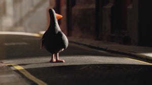 Feathers McGraw