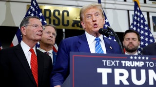 Trump Returning to Capitol Hill Is ‘Like an Arsonist Returning to the Scene of the Fire,’ MSNBC’s Nicolle Wallace Says | Video