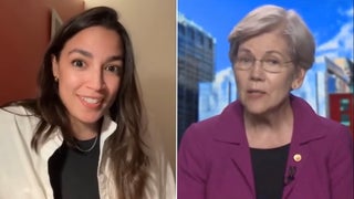 Elizabeth Warren Responds to Viral AOC Video About Replacing Biden: Kamala Harris ‘Is Ready to Step Up, to Unite the Party’ | Video