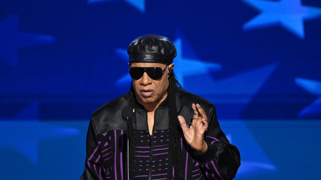 US musician Stevie Wonder speaks on the third day of the Democratic National Convention (DNC) at the United Center in Chicago (Credit: Mandel NGAN / AFP)