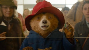 Paddington in Peru