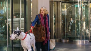 Naomi Watts in "The Friend" (Bleecker Street)