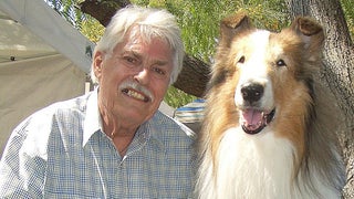 Robert Weatherwax, Lassie Trainer and Owner, Dies at 83