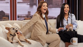 ‘The Drew Barrymore Show’ Renewed Through 2028 at CBS Stations