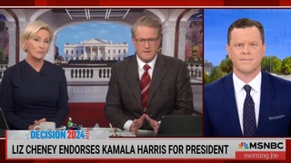 ‘Morning Joe’ Welcomes Liz Cheney’s Harris Endorsement, but They’re Not Shocked: ‘She’s Just Voting for Democracy’ | Video