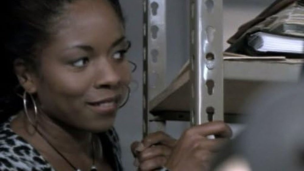 LisaGay Hamilton as Rebecca Washington in "The Practice" (