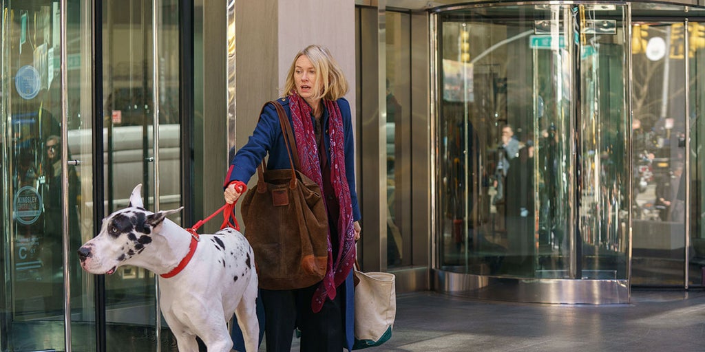 the-friend-naomi-watts