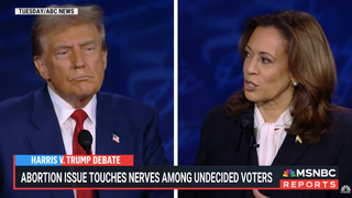Harris Turned Trump’s Biggest Insecurities Against Him, MSNBC Guest Says: ‘Pivoted to Things That Drive Him Crazy’ | Video