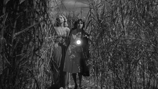 13 New Blu-Rays Worth Trick-or-Treating For