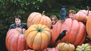 Here Are the New Halloween and Horror Movies Streaming on Peacock in October 2024