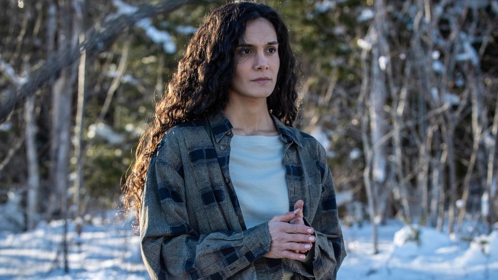 Pegah Ghafoori as Fatima in "From" (MGM+)