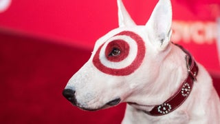 Target’s Bullseye Mascot Dog Provider Sues Company for Breach of Contract, $740K in Backpay