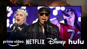 Lady Gaga, Stevie Wonder and Billie Eilish are set to perform at the FireAid Benefit Concert (Christopher Smith/TheWrap)