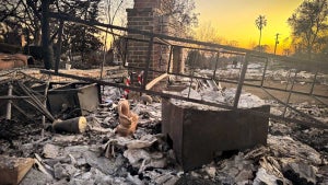 Altadena Fire