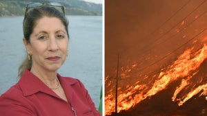 Ann Louise Bardach and Los Angeles wildfires