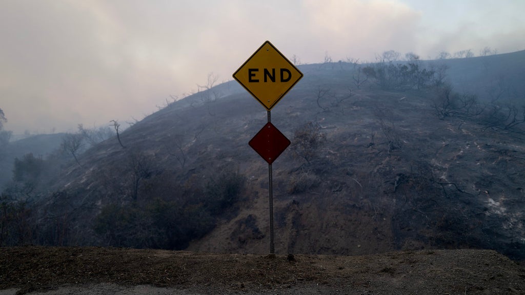 A sign is seen near a hillside that burned during the Palisades Fire on Jan. 7 (Credit: Eric Thayer/Getty Images)