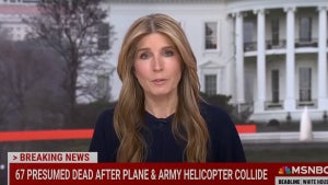 Nicole Wallace (Credit: MSNBC)