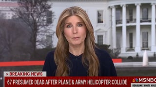 MSNBC’s Nicolle Wallace Shades Trump for ‘Turning to Politics’ and Unfoundedly Blaming DEI for DC Plane Crash | Video
