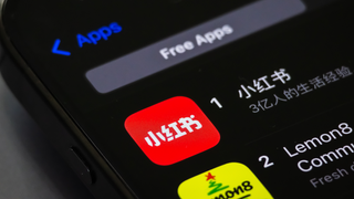 Chinese Apps Xiaohongshu and Lemon8 Jump to Top of App Store as TikTok Ban Looms