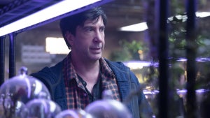 David Schwimmer in "Goosebumps: The Vanishing"