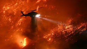 Palisades Fire