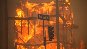 Sunset Blvd., Palisades Fire