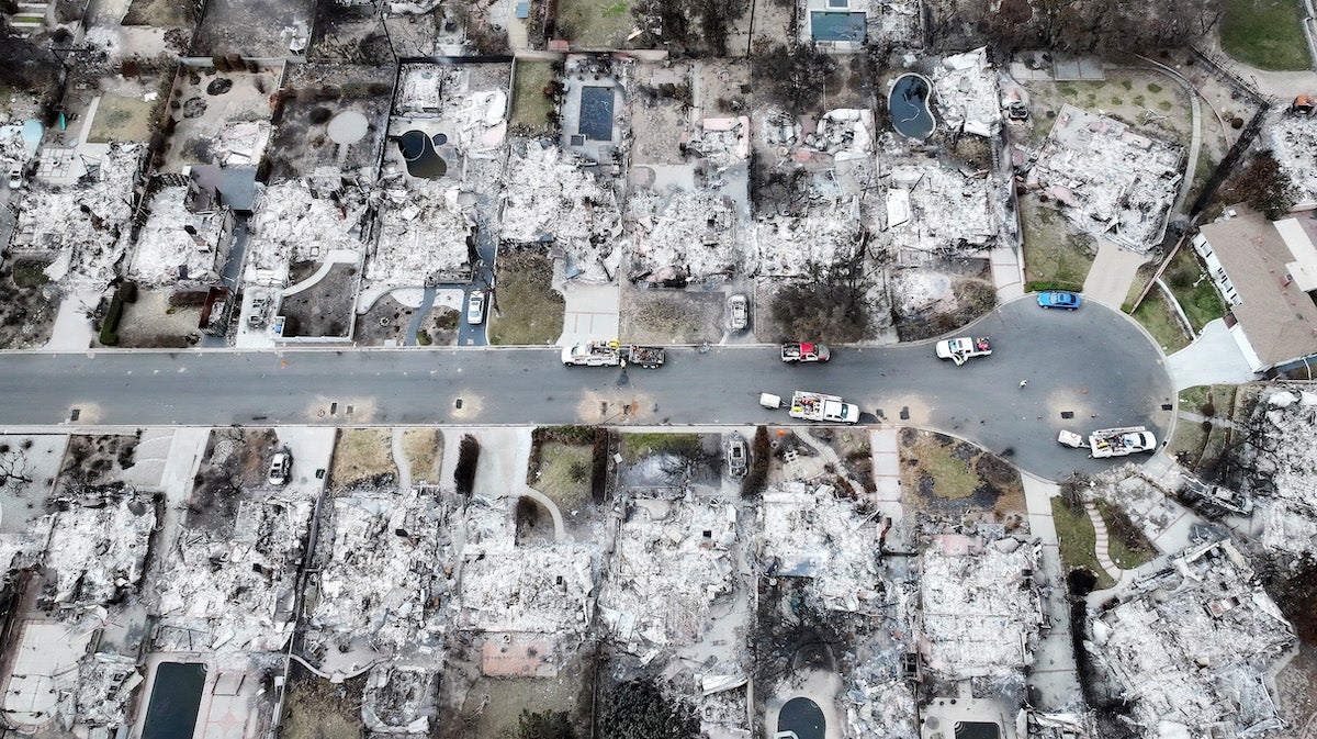 An aerial view of homes which burned in the Eaton Fire on Jan. 25 in Altadena (Credit: Mario Tama/Getty Images)