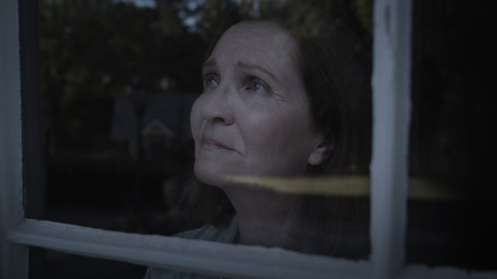 Joan Allen Zero Day