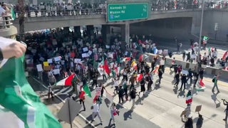 Anti-ICE Protestors Shut Down Los Angeles 101 Freeway Over Trump-Ordered Deportations | Video