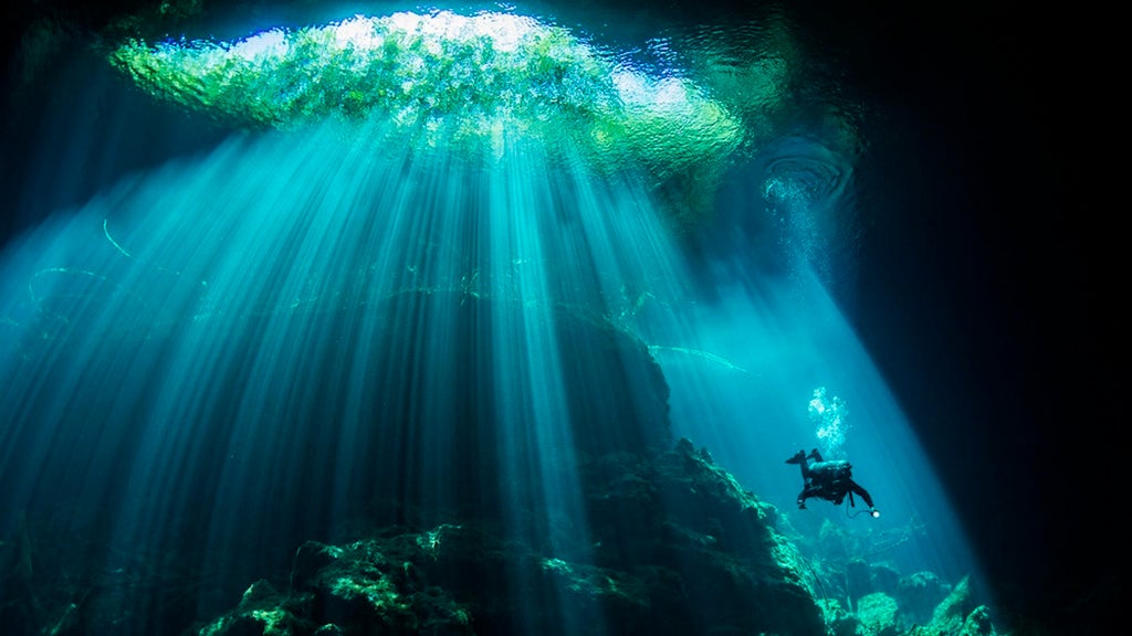 the-americas-underwater-bbc-studips-franco-banfi