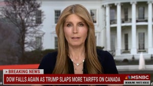 Nicole Wallace (Credit: MSNBC)