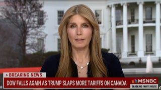 Nicolle Wallace Mocks Trump Press Secretary for Blowing Up at AP Over Tariffs: ‘Tragically Uninformed or Lying’ | Video