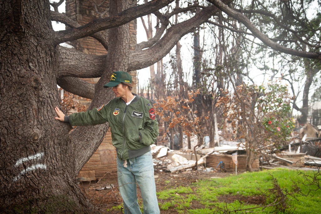 Pacific Palisades, Palisade Fire, Pacific Palisades