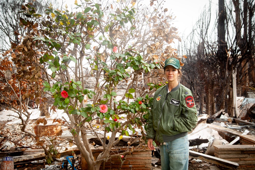 Pacific Palisades, Palisades Fire, Wildfire, Tree