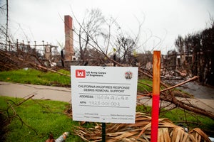 Pacific Palisades, Rebuild, Palisade Fire, aftermath