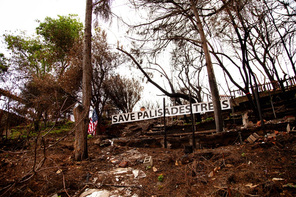 Pacific Palisades, Palisades Fires