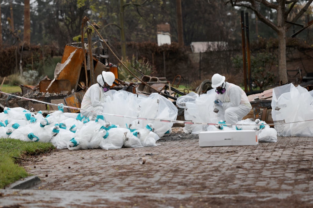 Eaton Fire, Altadena, Clean up, rebuild