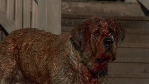 "Cujo" (Credit: Warner Bros./Paramount Pictures)