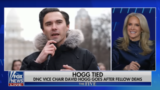 ‘The Five’ Host Dana Perino Dissolves Into Uncontrolled Giggles Over Perfectly Normal Pictures of David Hogg | Video