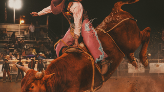 ABC News Studios’ ‘Not Her First Rodeo’ Sets Freeform, Hulu Premiere Date | Exclusive