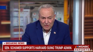 Chuck Schumer Says Trump ‘Doesn’t Like Democracy,’ Slams His ‘Diversionary Smokescreens’ for Billionaire Tax Cuts | Video