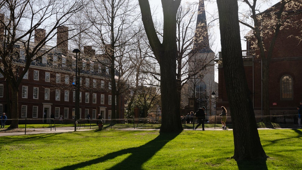 harvard-university