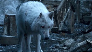 ‘Game of Thrones’ Fans Howl Over Claim Dire Wolf Was Brought Back From Extinction