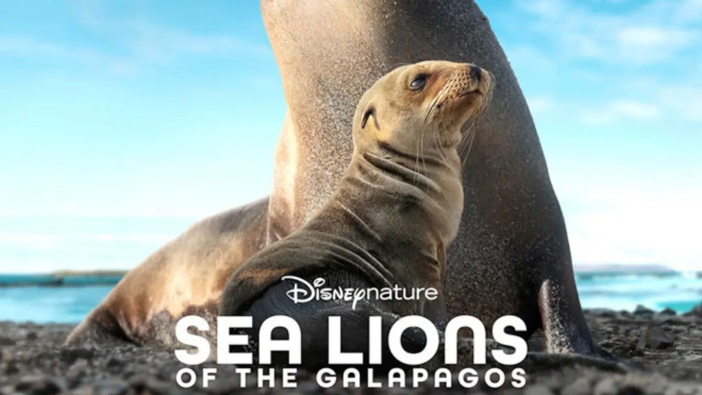 sea-lions-of-the-galapagos