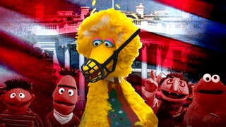 Muzzling Big Bird: Trump Tries to Silence the ‘Liberal Media’ of PBS and NPR