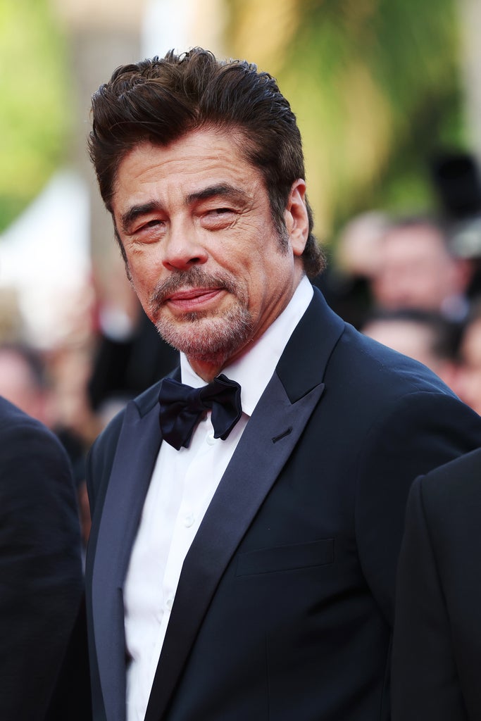 Benicio del Toro, Cannes 2025