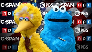 Not Just ‘Sesame Street’: How Trump’s Billion-Dollar NPR, PBS Cuts Will Hurt Small Town America