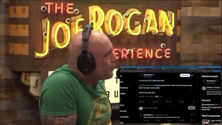 Joe Rogan and Kash Patel Learn Live On-Air That Trump and Musk Are Fighting: ‘Someone Should Take His Phone Away’ | Video